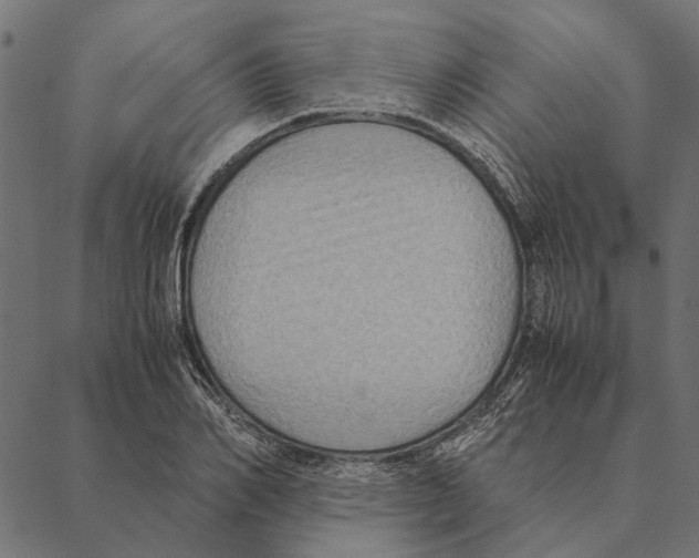 X0000087330982200705181032