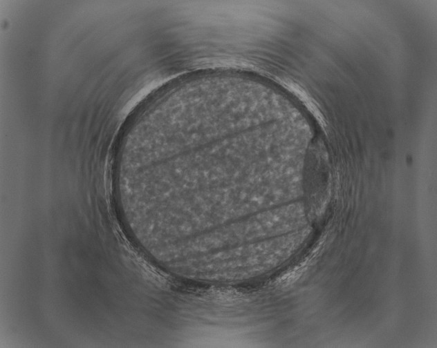 X0000087330983200705181032