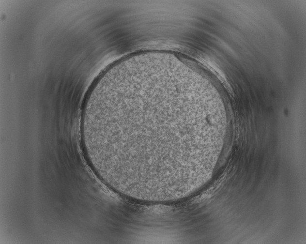 X0000087330992200705181032