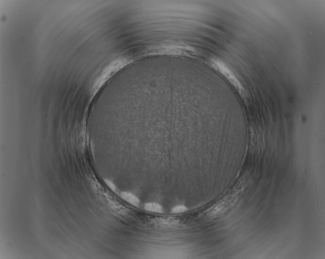 X0000087330994200705181031