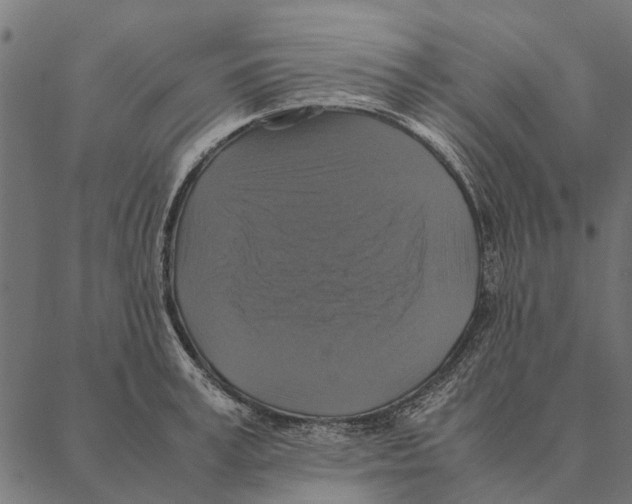 X0000087330995200705181031