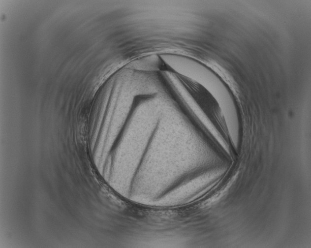 X0000087331001200705181031
