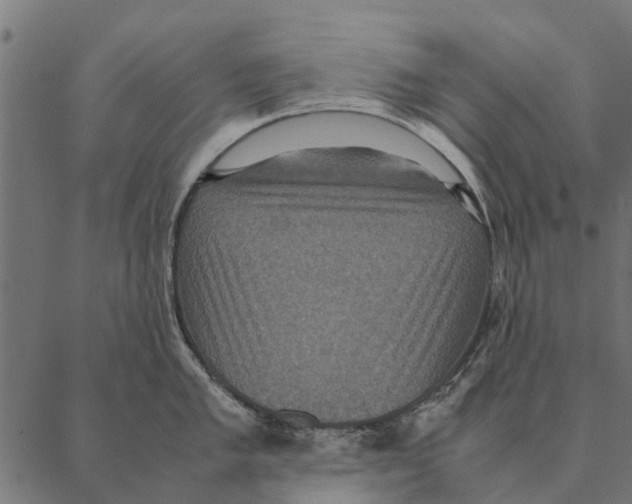 X0000087331005200705181031