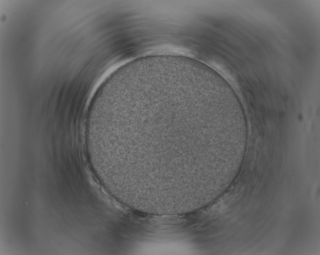 X0000087331008200705181031