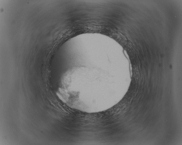 X0000087331009200705181030