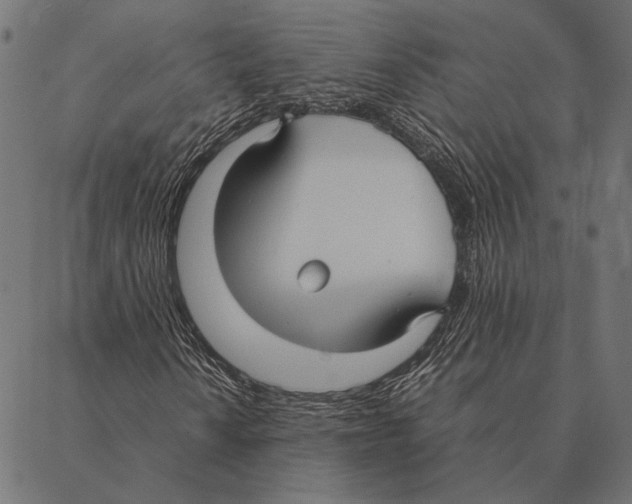X0000087331010200705181030