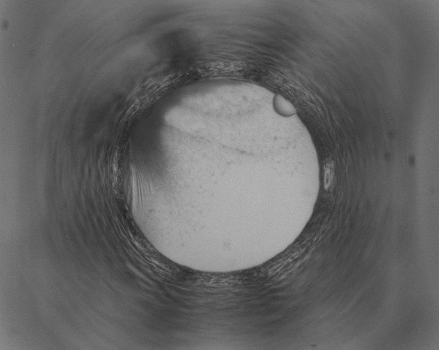 X0000087331011200705181030