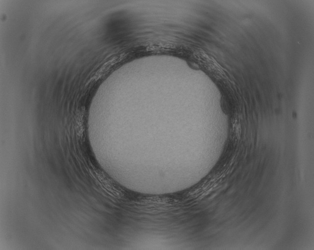 X0000087331012200705181031