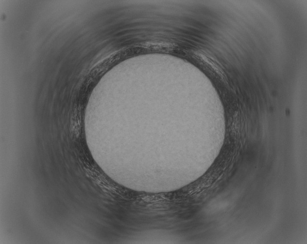X0000087331015200705181031