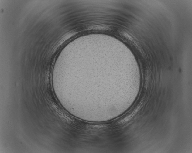 X0000087331017200705181031