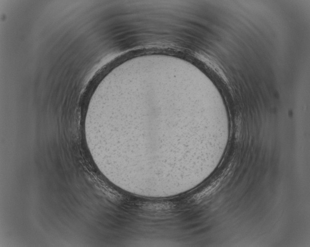 X0000087331021200705181031