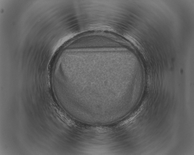 X0000087331022200705181031