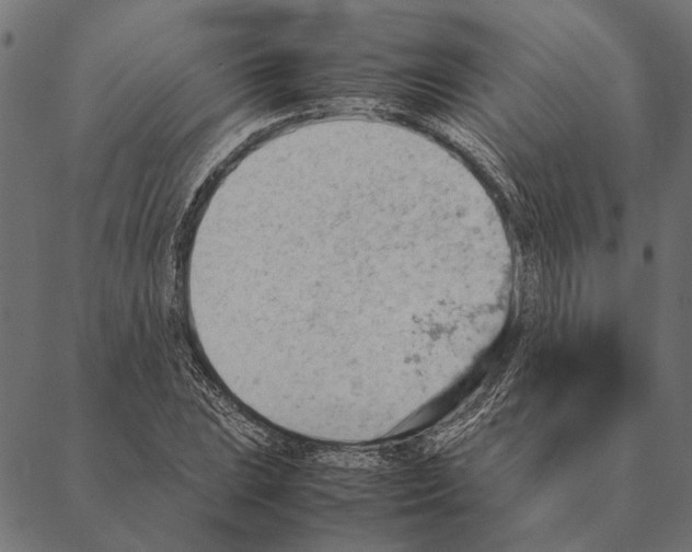 X0000087331023200705181031