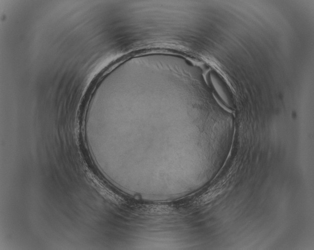 X0000087331024200705181031