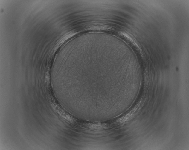 X0000087331025200705181031