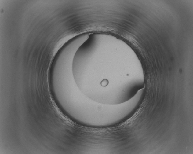 X0000087331030200705181031