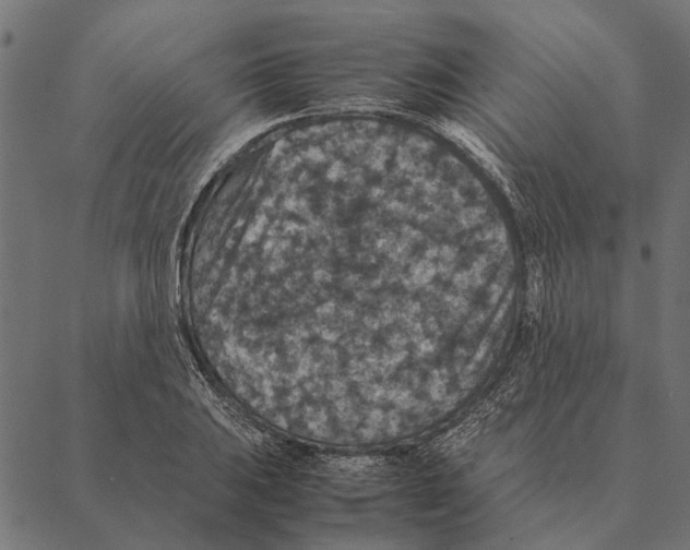 X0000087331031200705181031