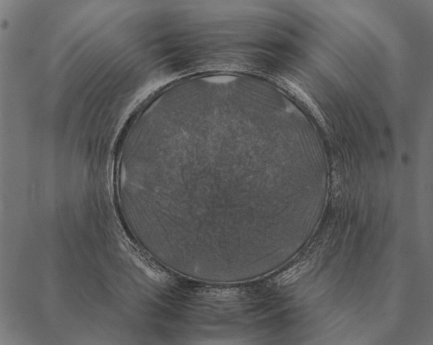 X0000087331035200705181031