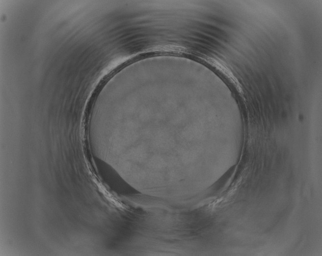 X0000087331037200705181031