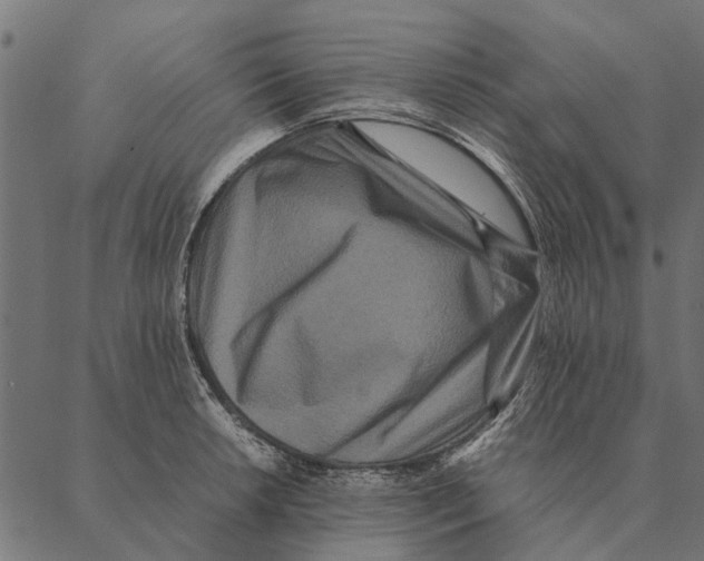 X0000087331042200705181031