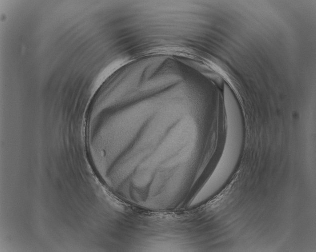 X0000087331050200705181031