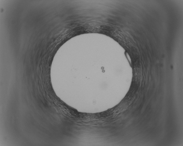 X0000087331057200705181030