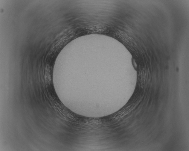 X0000087331058200705181030