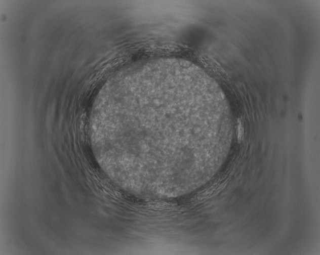 X0000087331059200705181030