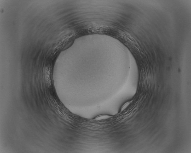 X0000087331060200705181030