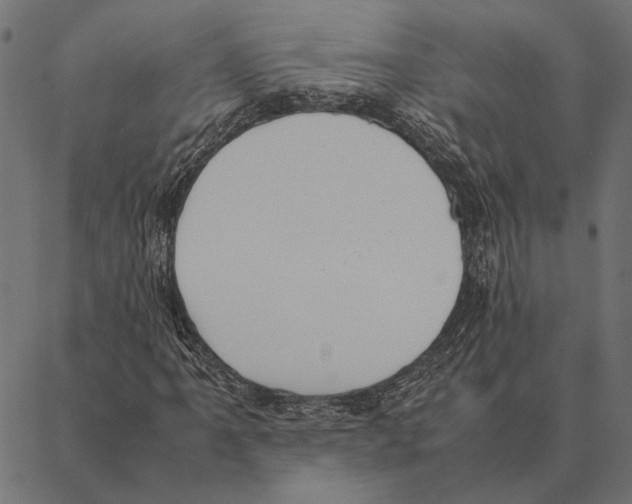 X0000087331061200705181030
