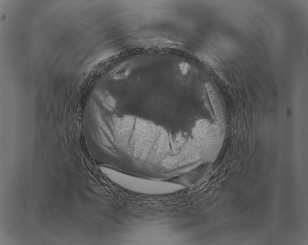 X0000087331063200705181030
