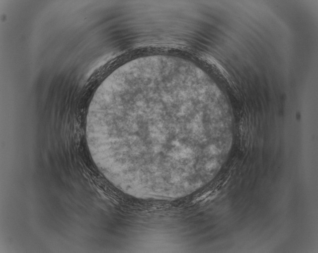 X0000087331064200705181030