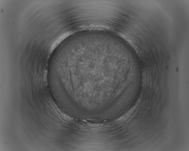 X0000087331066200705181030