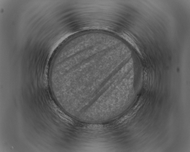 X0000087331068200705181030