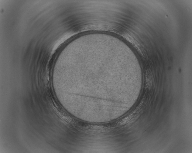 X0000087331070200705181030