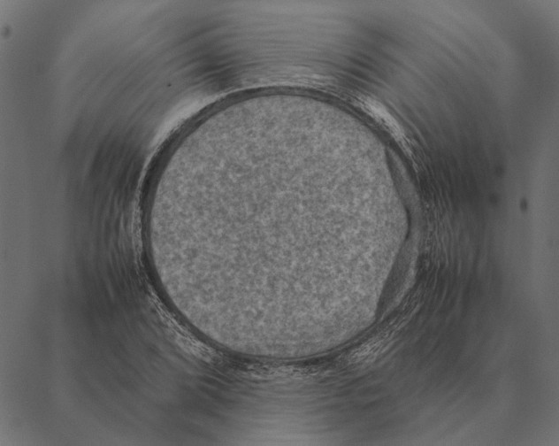 X0000087331072200705181030