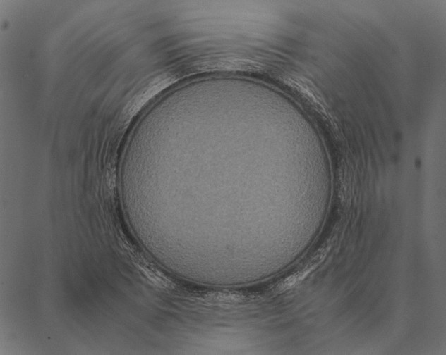 X0000087331073200705181030