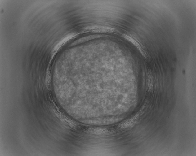 X0000087331074200705181030