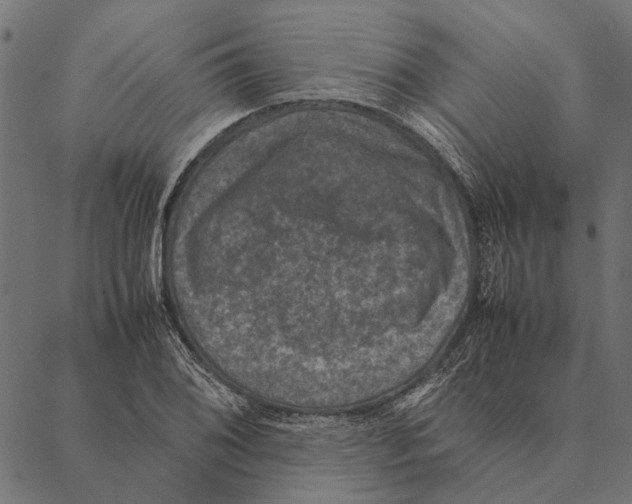 X0000087331076200705181030