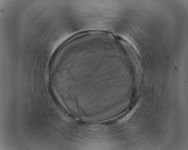 X0000087331077200705181030