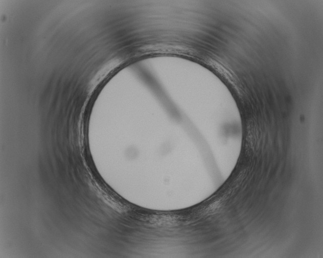 X0000087331082200705181030