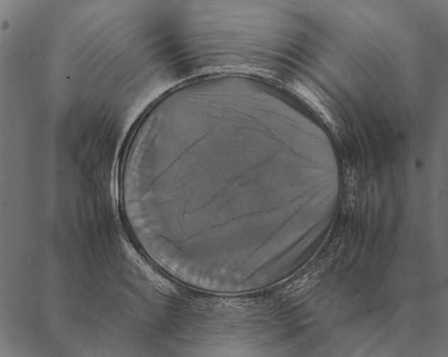X0000087331084200705181030