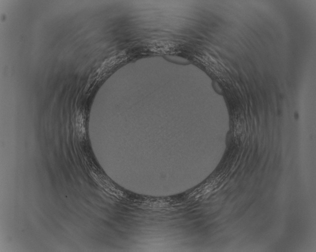 X0000087331106200705181029