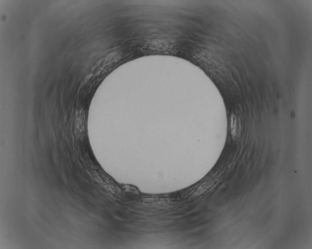 X0000087331107200705181029
