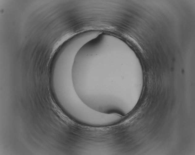 X0000087331114200705181029