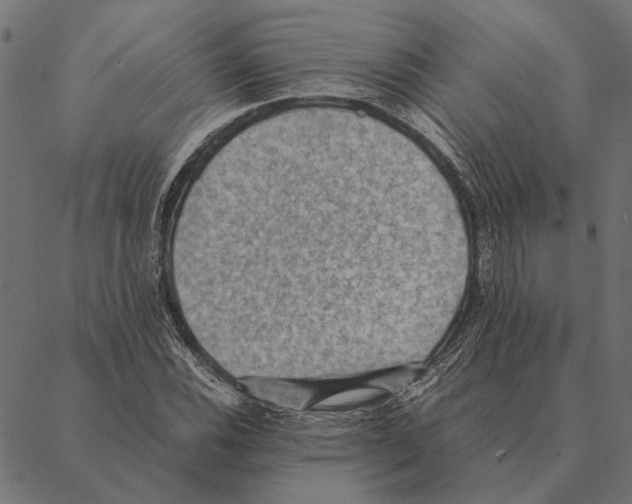 X0000087331116200705181029