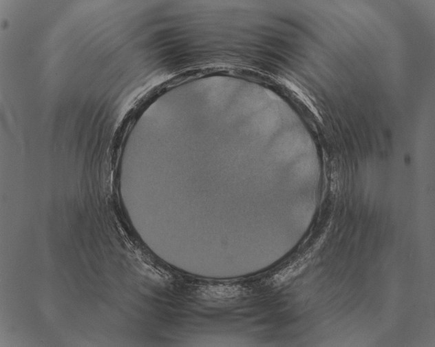 X0000087331117200705181029
