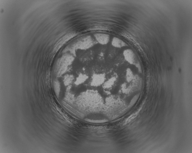 X0000087331121200705181029
