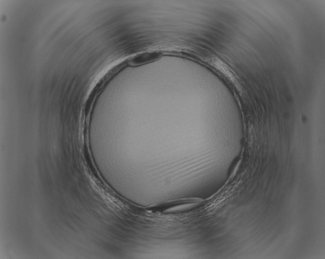 X0000087331124200705181029