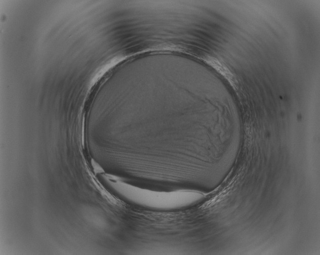 X0000087331127200705181029